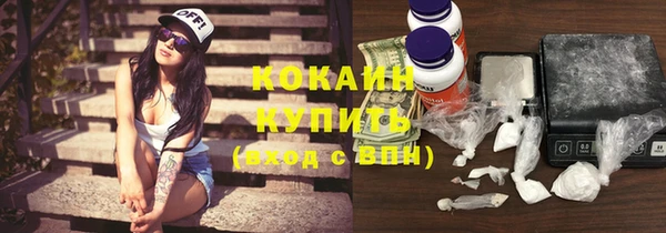 соль ск Алзамай