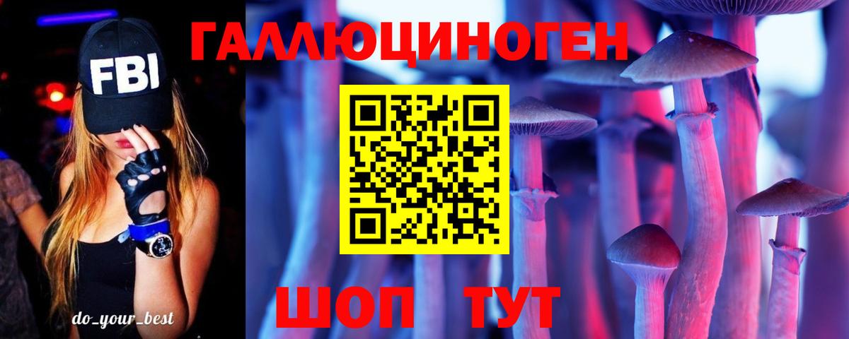 Петрозаводск  Галлюциногенные грибы Psilocybe  Галлюциногенные грибы Psilocybine cubensis  Вход с VPN 